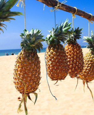 Product Release: Honolulu