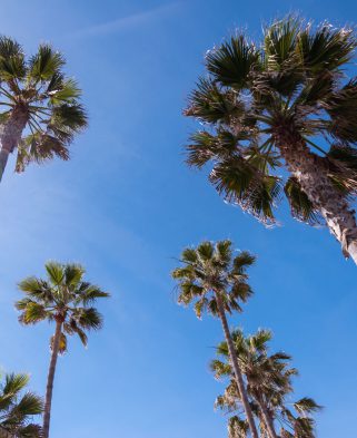 Flexible Budgets Made My Last Two Business Trips a Breeze