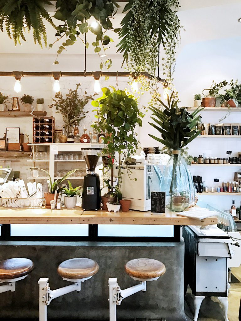 a plant shop with plants and stools in front of the counter.