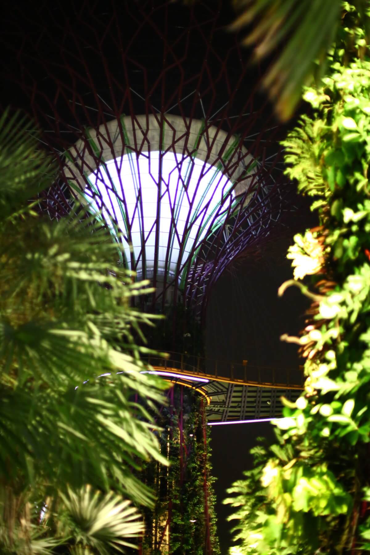 Singapore Garden by the bay