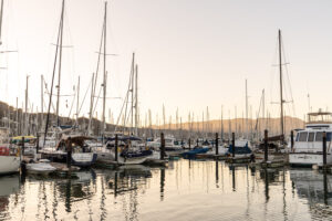 A group of sailboats docked in a harbor.