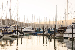 A group of sailboats docked in a harbor.
