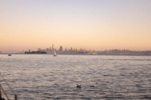 A large body of water.